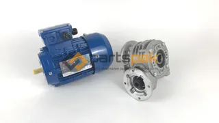 Motore